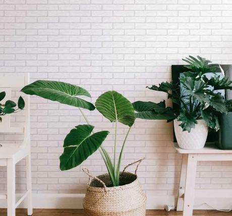 delikatissen wallpaper vinyl Vinyl Wallcoverings vinilos personalizados vinilos decorativos vinilos a medida photo wallpaper  