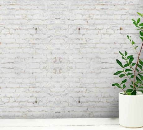 delikatissen wallpaper vinyl Vinyl Wallcoverings vinilos personalizados vinilos decorativos vinilos a medida photo wallpaper  