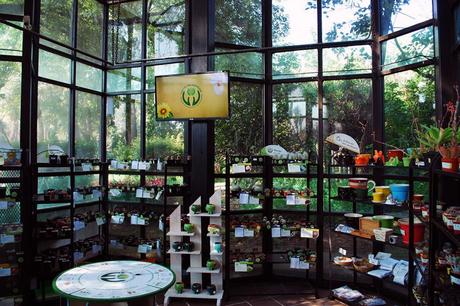 Los jardines botánicos, laboratorios vivos