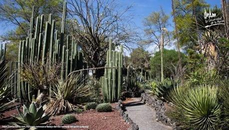 Los jardines botánicos, laboratorios vivos