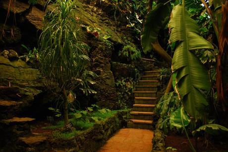 Los jardines botánicos, laboratorios vivos