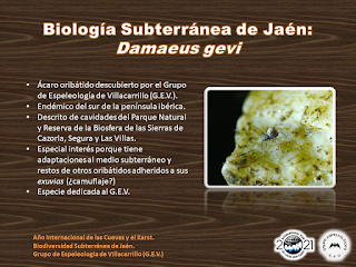 Biología Subterránea de Jaén (VII)