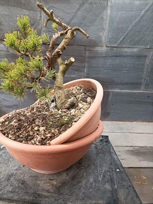 Proyectos nuevos 2021