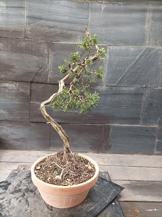 Proyectos nuevos 2021