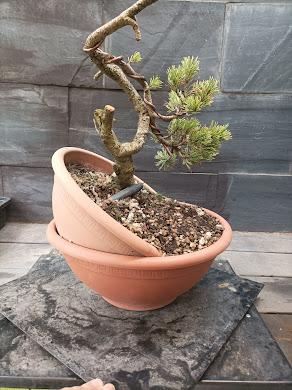 Proyectos nuevos 2021