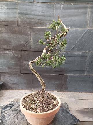 Proyectos nuevos 2021