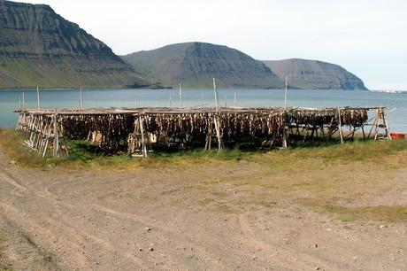 El pescado seco islandés: Harðfiskur
