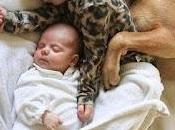 4.644 mañana tarde...