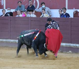 SALIDA A HOMBROS DE JUAN ORTEGA Y PABLO AGUADO EN LUCENA ANTE UN DESCASTADO ENCIERRO DE MURUBE