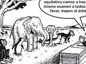 varias velocidades proceso creativo, Manu Medina