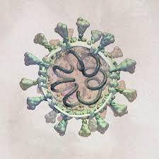 El teléfono móvil posible transmisor del COVID-19