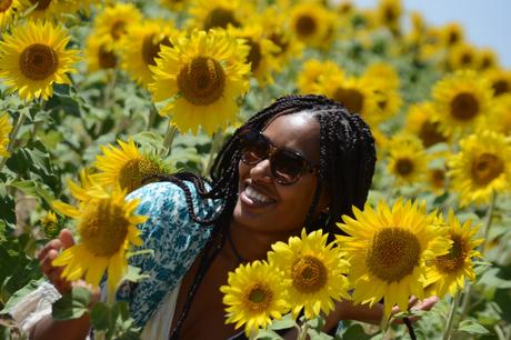 Siempre busca la luz como el girasol