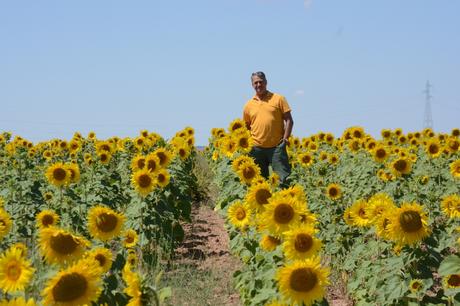 Siempre busca la luz como el girasol