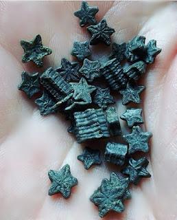 ¿Conoces a los crinoideos?