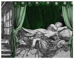 «(…) la relación mujer/casa, que tradicionalmente ha sido un vínculo impuesto y ha generado escrituras muy interesantes donde la alienación, la vida propia que cobra el entorno doméstico, su hostilidad, dan para muchos relatos.» Entrevista a Patricia E...