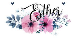 Mini Reseñas | El último verano de Silvia Blanch (Lorena Franco) ~ Presas (Beatriz Esteban)