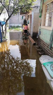 A FERNANDO VILCHIS LE LLUEVE SOBRE MOJADO