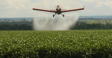 Pandemias, Hambrunas y Guerras: la Arquitectura del Capital