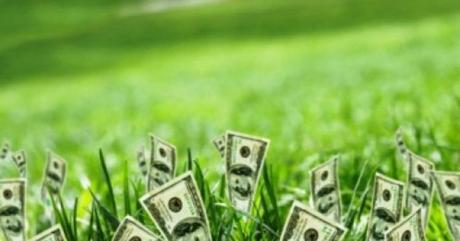 Pandemias, Hambrunas y Guerras: la Arquitectura del Capital