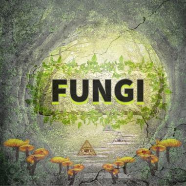 Fungi - Into The Void (2021)