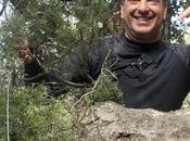 JUNIOR (Luis Alejandro Herrera)