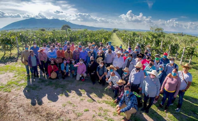“EL POTENCIAL DE LAS MIXTECAS ESTÁ EN LOS FRUTALES, LOS AGAVES Y PITAHAYAS, RECUERDA EL DOCTOR RAUL NIETO ÁNGEL