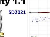 Activity 1.1. Limits 2021