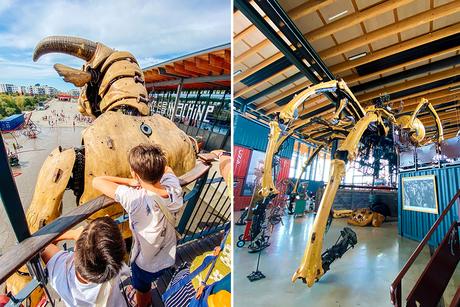 Toulouse con niños: 7 planazos para disfrutar toda la familia