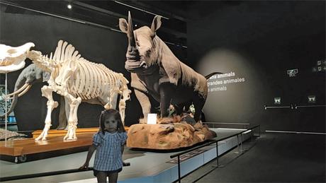 Viaje a Barcelona con niños. Que ver y que hacer en Barcelona en familia