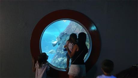 Viaje a Barcelona con niños. Que ver y que hacer en Barcelona en familia