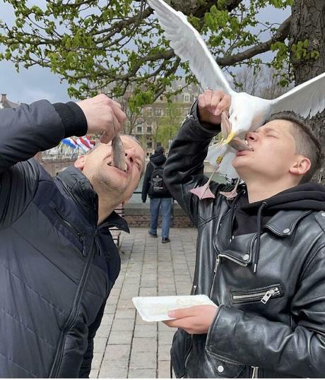 Este grupo está dedicado a cosas que solo ocurren en Europa, y aquí tienes 40 muy interesantes Este grupo está dedicado a cosas que solo ocurren en Europa, y aquí tienes 40 muy interesantes