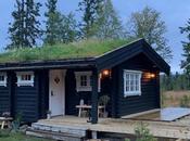 Cabana Rustica Remodelada Bosquera Noruegos