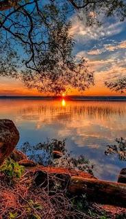 4.657 - COLOR DE ROSA...