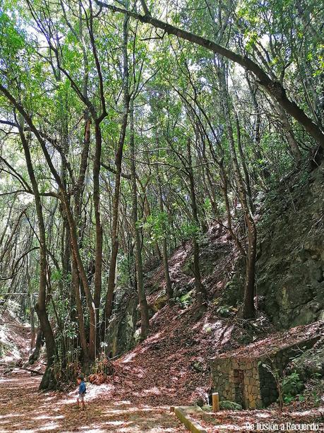 El sendero de los Guardianes Centenarios o el lugar donde habita la magia