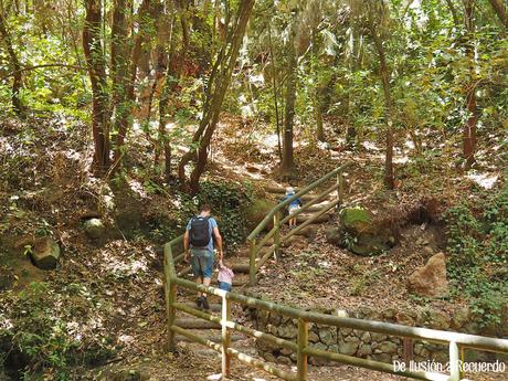 El sendero de los Guardianes Centenarios o el lugar donde habita la magia