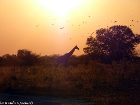 Los mejores atardeceres del mundo que no olvidarás