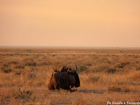 Los mejores atardeceres del mundo que no olvidarás