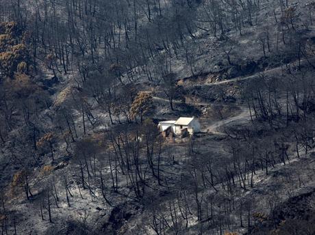 Málaga: Casi 8 mil hectáreas son arrasadas por las imparables llamas