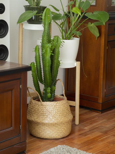 Antes y después de  nuestro salón: Texturas naturales como protagonistas_28