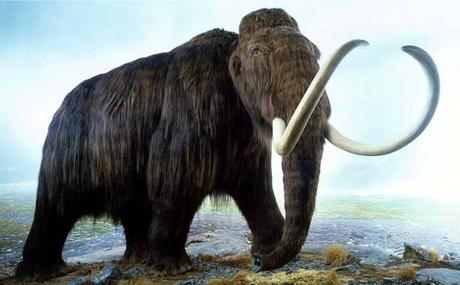 Científicos quieren revivir al mamut lanudo y acaban de conseguir US$ 15 millones para hacerlo realidad