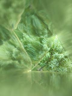 Caleidoscopios siempre.