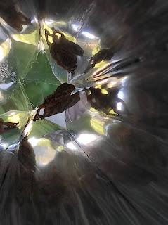 Caleidoscopios siempre.