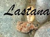 Conservación excrementos egagrópilas.