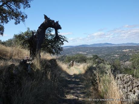 Ruta de Los Molinos