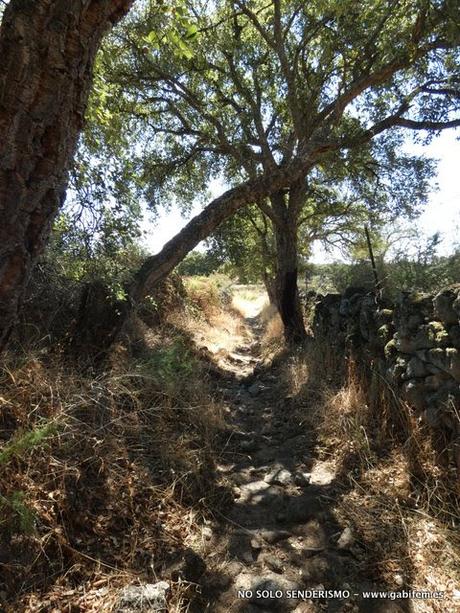 Ruta de Los Molinos Ruta de Los Molinos