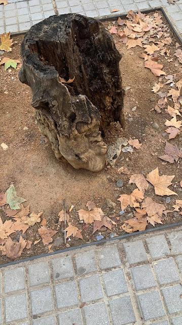 Un árbol muerto Un árbol muerto