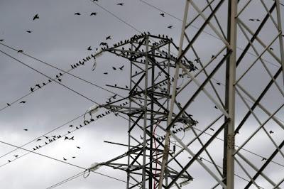 El debate sobre el precio de la luz. El debate sobre el precio de la luz.