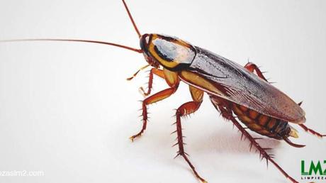 Cómo evitar que una noche de sonrisas se convierta en un día de lágrimas