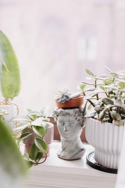 Donde menos te lo esperas...