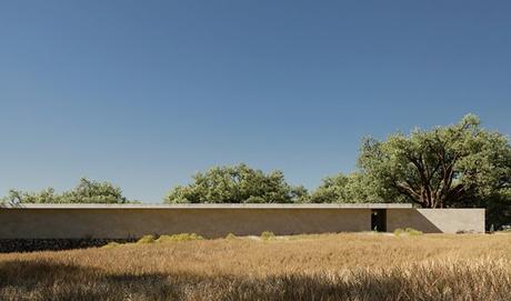 estudios de arquitectura: joão cepeda 10